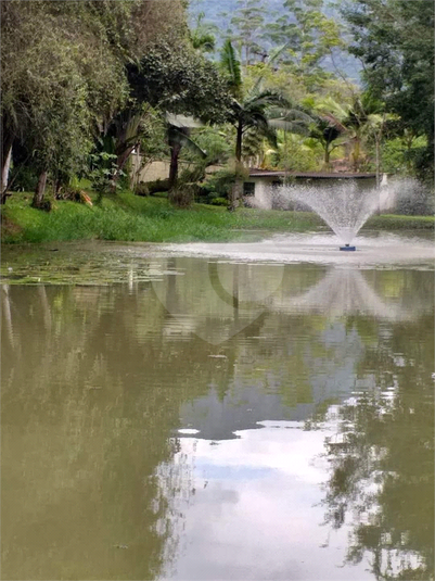 Foto REO1048530