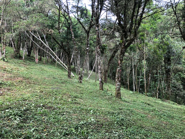 Venda Terreno Campos Do Jordão Vila Inglesa REO1048532 6