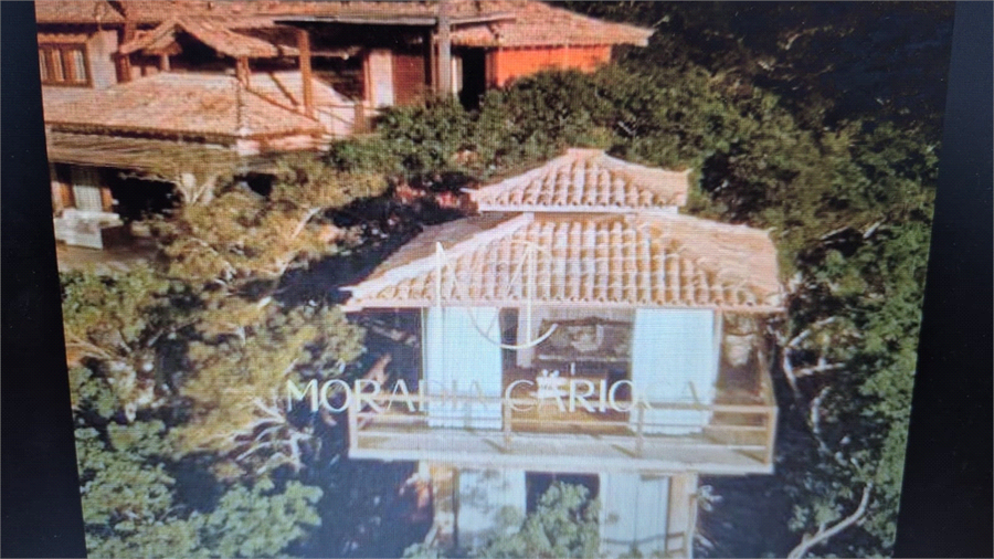 Foto REO1048629