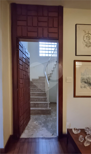 Foto REO1048695