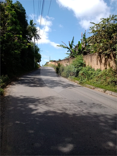 Foto REO1048855