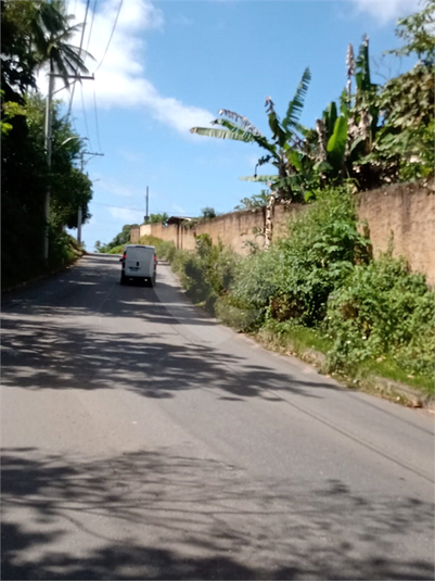 Foto REO1048855