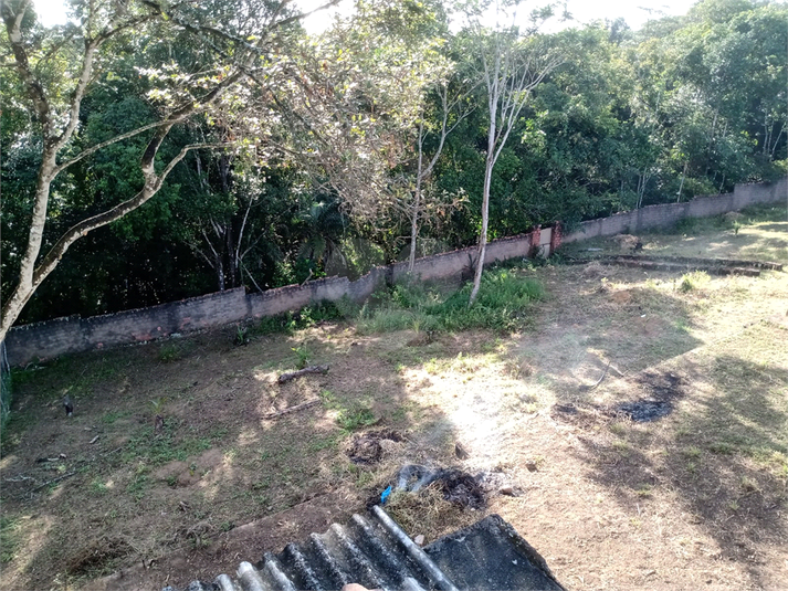 Foto REO1048855