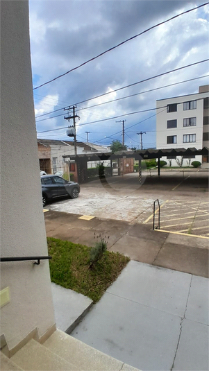 Foto REO1049046