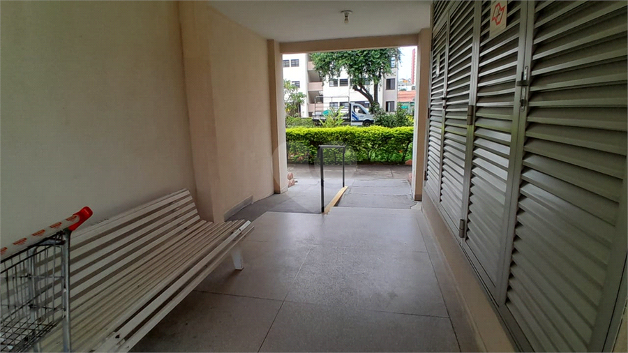 Foto REO1049046