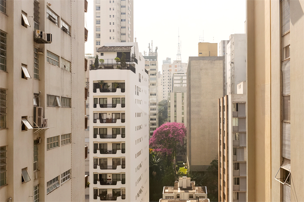 Venda Apartamento São Paulo Jardim Paulista REO104911 23