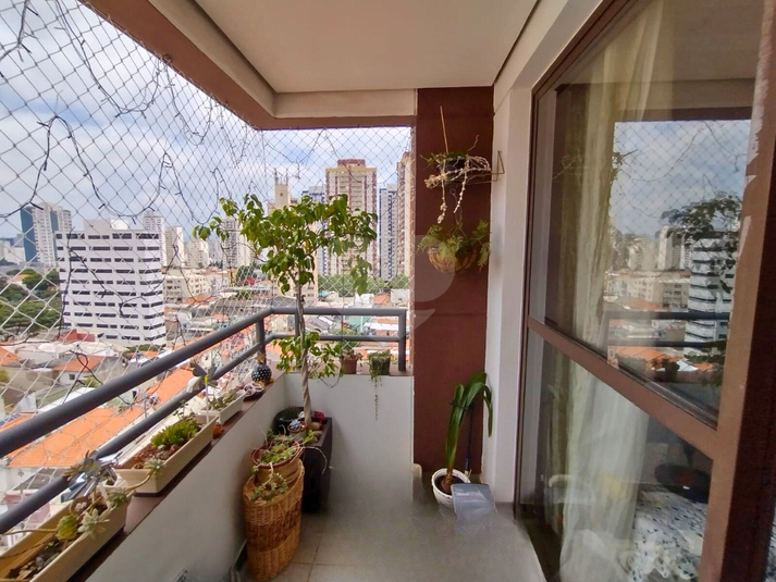 Foto REO1049153