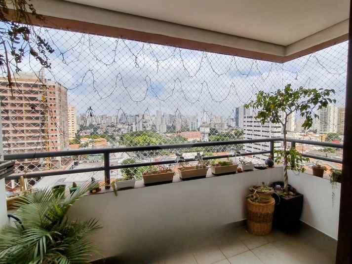 Foto REO1049153
