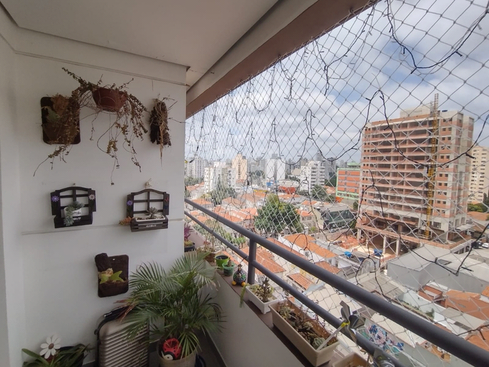 Foto REO1049153