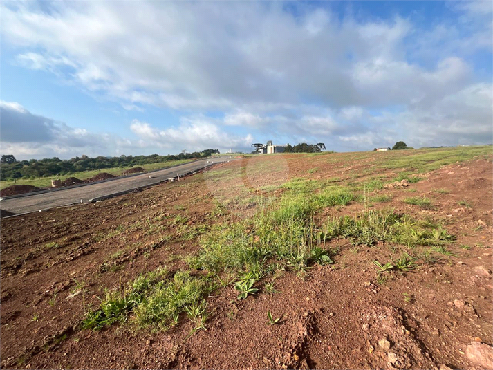 Venda Terreno Lages São Francisco REO1049206 6