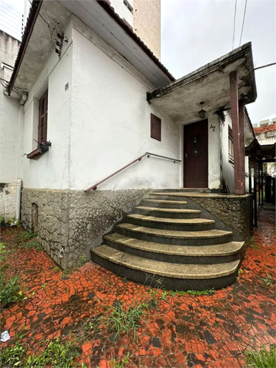 Foto REO1049209