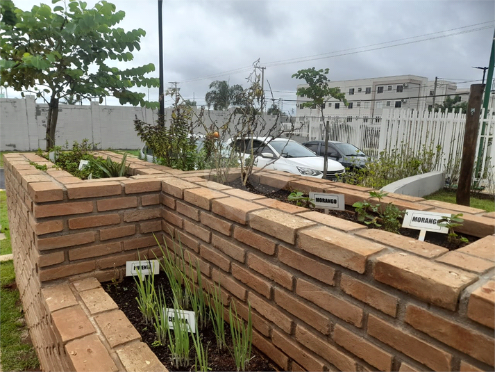 Venda Apartamento Araraquara Jardim Botânico REO1049217 51