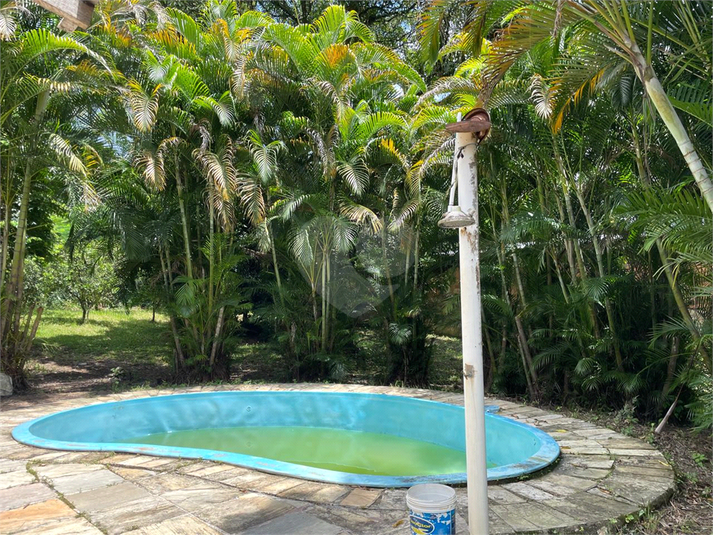 Foto REO1049241