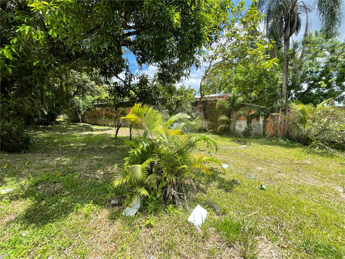 Foto REO1049241