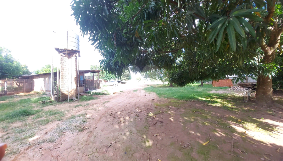 Foto REO1049253