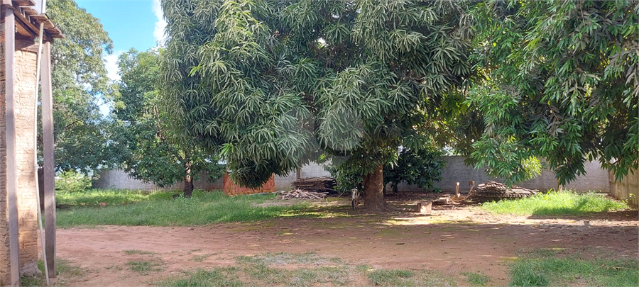 Foto REO1049253
