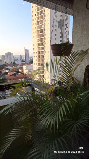 Venda Apartamento São Paulo Mooca REO1049271 4