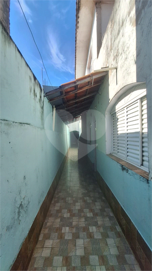 Foto REO1049283