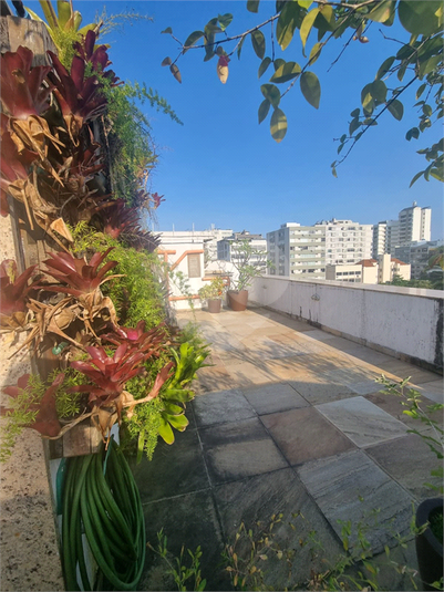 Foto REO1049308