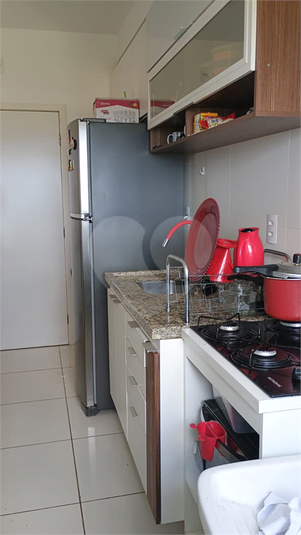 Aluguel Apartamento Indaiatuba Jardim Casablanca REO1049317 5