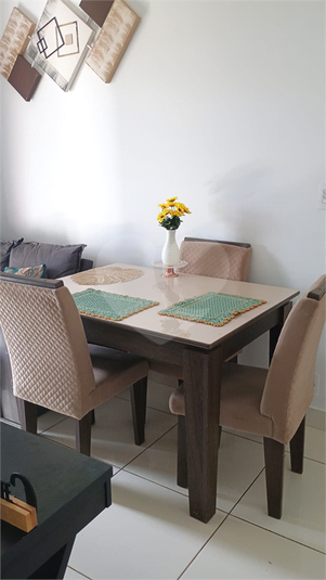 Aluguel Apartamento Indaiatuba Jardim Casablanca REO1049317 8