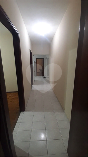 Foto REO1049369
