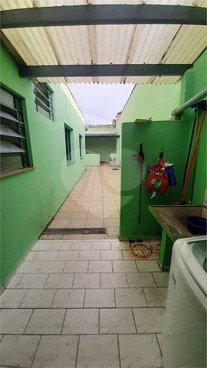 Foto REO1049369