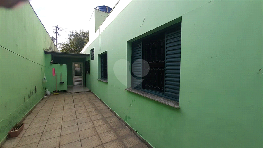 Foto REO1049369