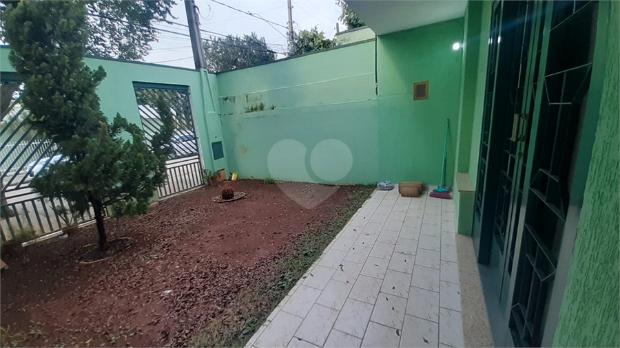 Foto REO1049369