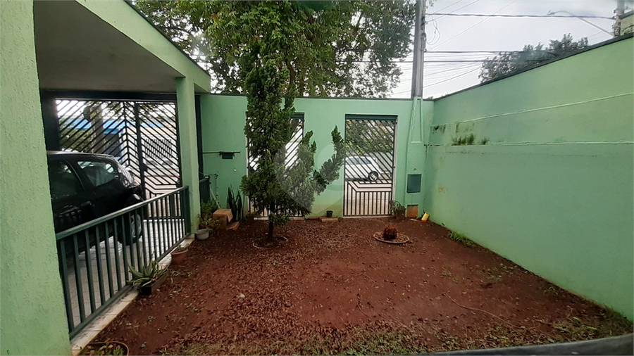 Foto REO1049369