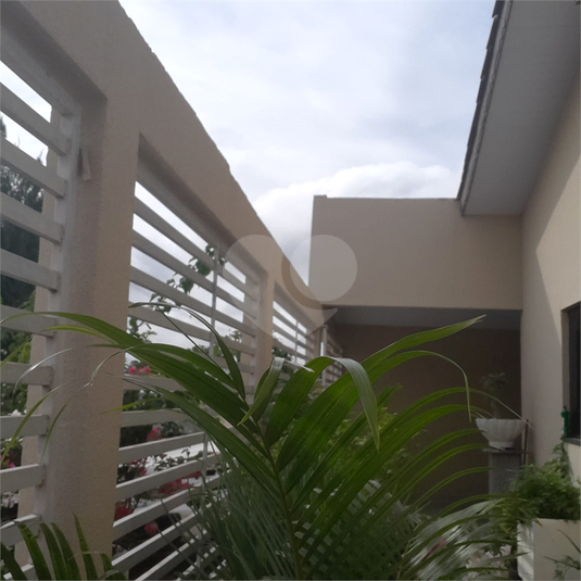 Foto REO1049445