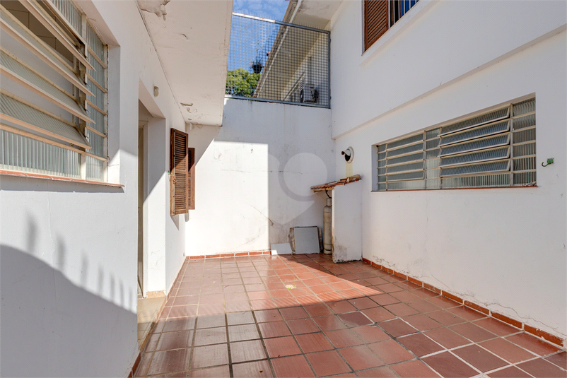 Foto REO1049447