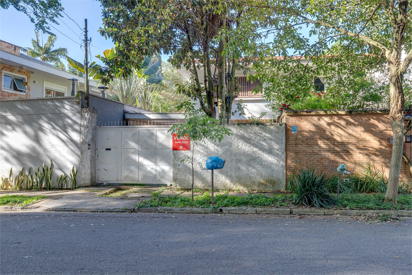 Foto REO1049447
