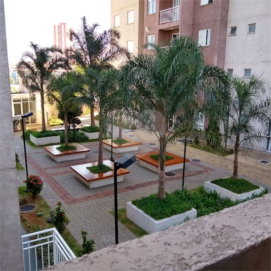 Venda Apartamento São Paulo Vila Barreto REO1049592 23