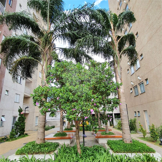 Venda Apartamento São Paulo Vila Barreto REO1049592 15