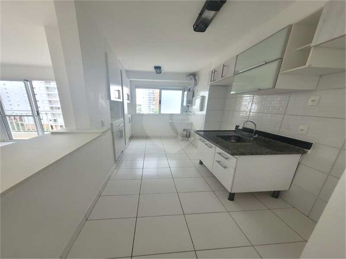 Aluguel Apartamento Campinas Swift REO1049613 7