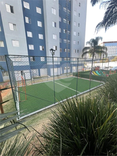 Foto REO1049693