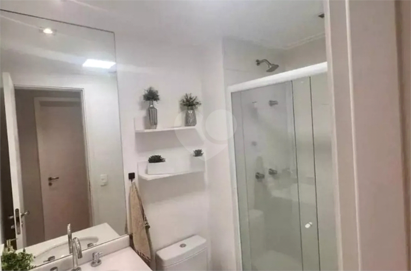 Aluguel Apartamento São Paulo Vila Anastácio REO1049757 11