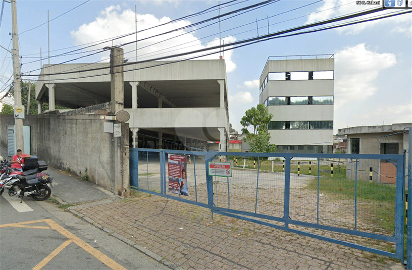 Foto REO1049844