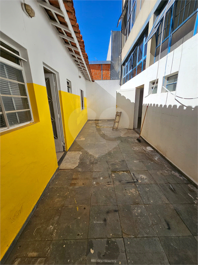 Foto REO1049866