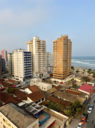 Foto REO1049943