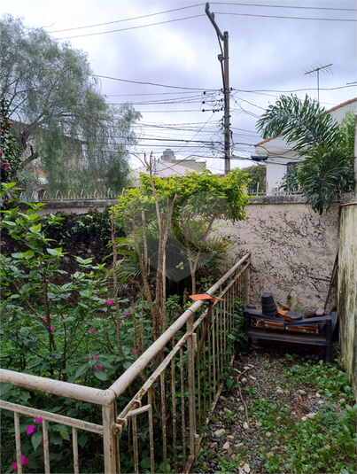 Foto REO1049975