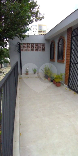 Foto REO1049985