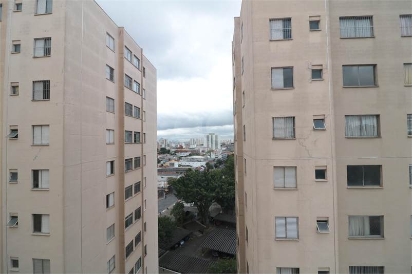 Venda Apartamento São Paulo Brás REO1050567 5