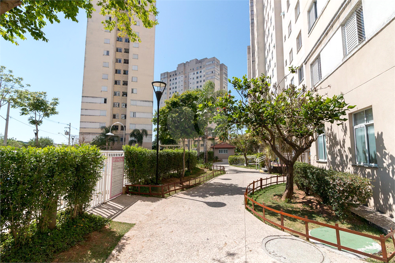 Venda Apartamento Guarulhos Vila Venditti REO1051356 51