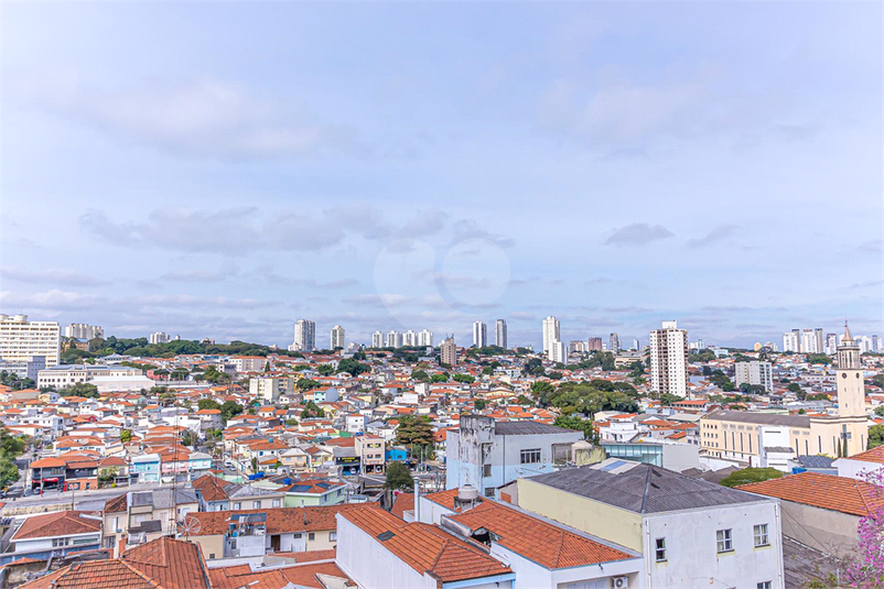 Foto REO1051399