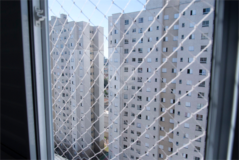 Foto REO1051400
