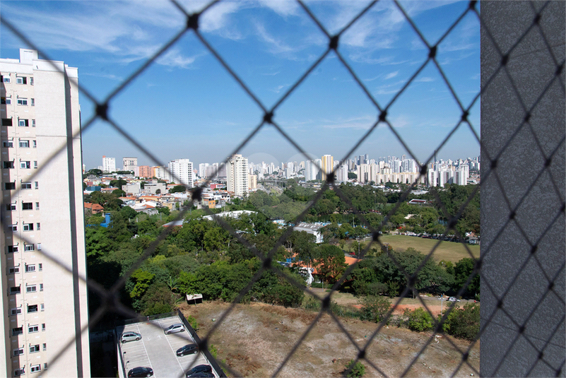 Foto REO1051400