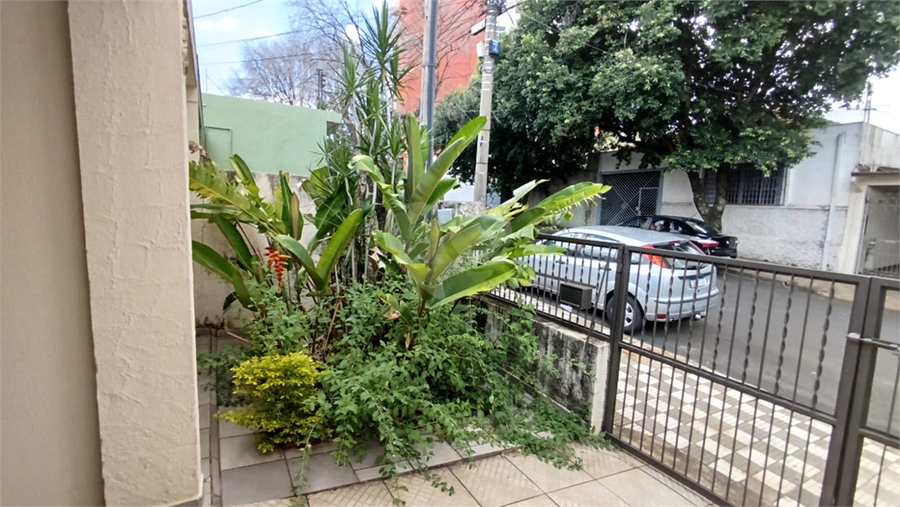 Aluguel Casa Bauru Vila América REO1051963 3