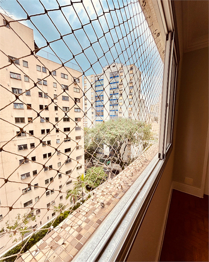 Foto REO1051966